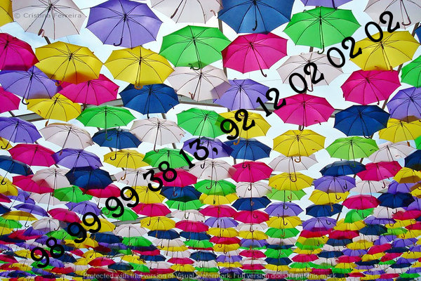 Decorative Umbrellas For Wedding Reception Parties  Jaipuri, Rajasthani, India  